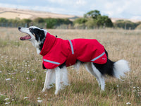Luxe Waterproof Dog Coat 250g - Red