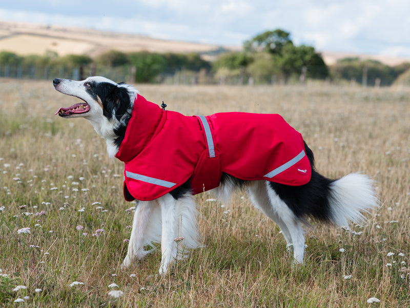 Luxe Waterproof Dog Coat 250g - Red