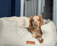 THE COTSWOLD | LUXURY HIGH WALL BOUCLE DOG BED