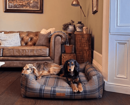 THE MARLOW | LUXURY TARTAN BOLSTER DOG BED