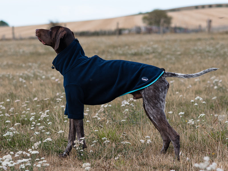 Fleece Dog Jumper - Navy