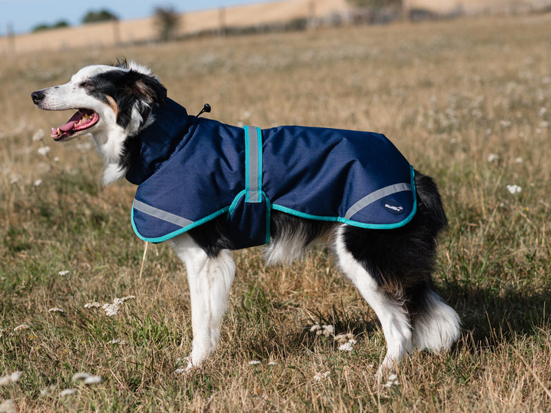 Luxe Waterproof Dog Coat 250g - Navy