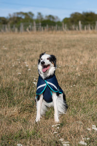 Luxe Waterproof Dog Coat 0g - Navy