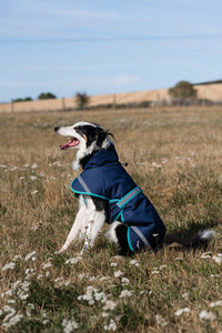 Luxe Waterproof Dog Coat 0g - Navy