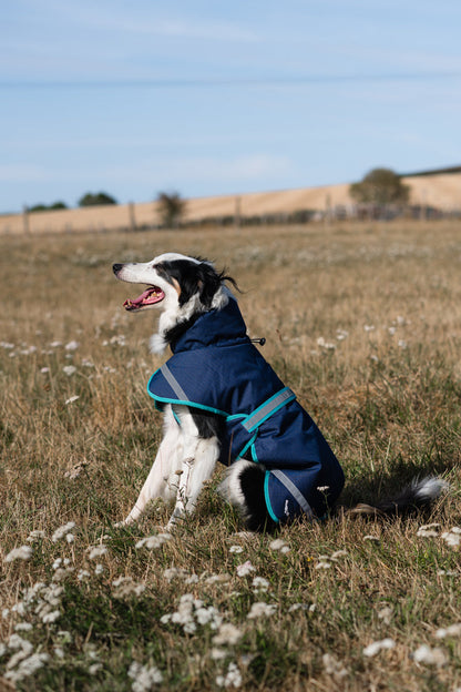Luxe Waterproof Dog Coat 250g - Navy