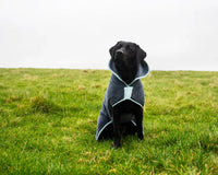 Henry Wag Microfibre Drying Coat | Fast-Drying Dog Coat XS–2XL