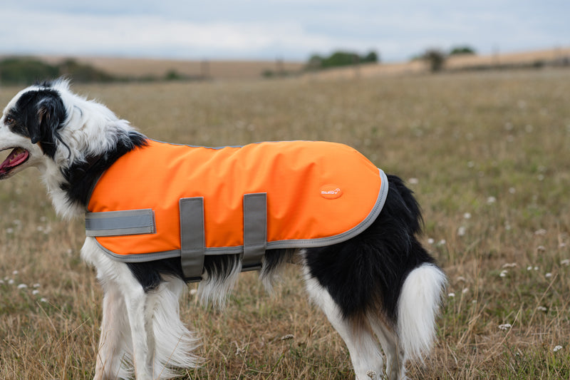 Classic Waterproof Dog Coat 150g - Orange High Viz