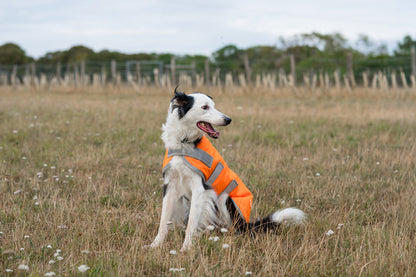 Classic Waterproof Dog Coat 150g - Orange High Viz