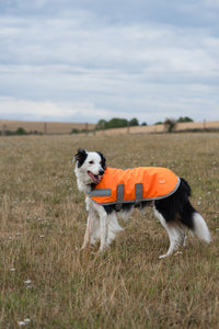 Classic Waterproof Dog Coat 150g - Orange High Viz