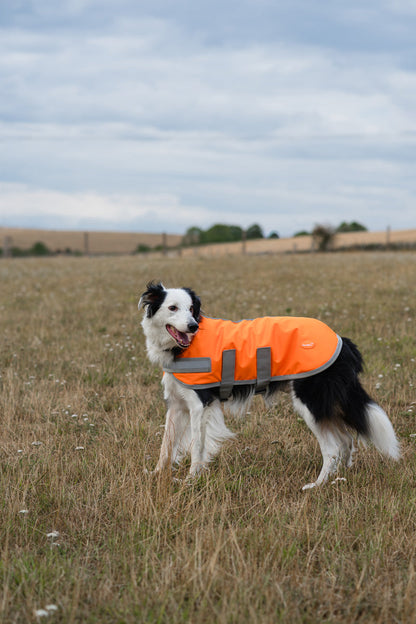 Classic Waterproof Dog Coat 150g - Orange High Viz