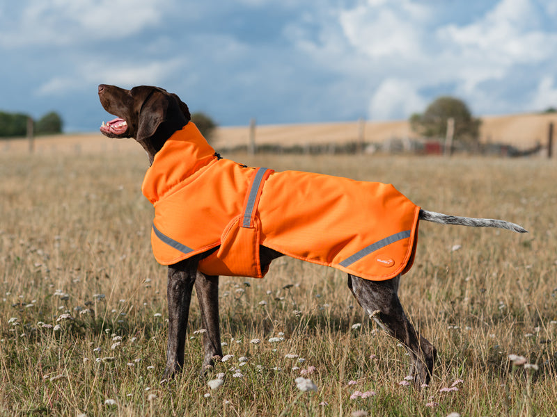 Luxe Waterproof Dog Coat 250g - Orange High Viz