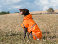 Luxe Waterproof Dog Coat 250g - Orange High Viz