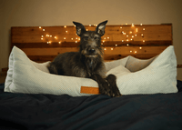THE HIGHCLERE | LUXURY MEMORY FOAM BOLSTER DOG BED