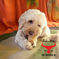 Buffalo Paddywack - Dog Treats