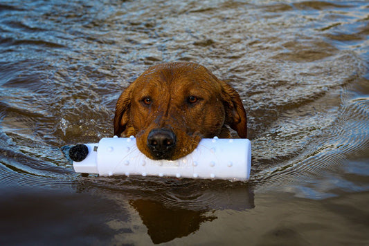 Water Training Dummies