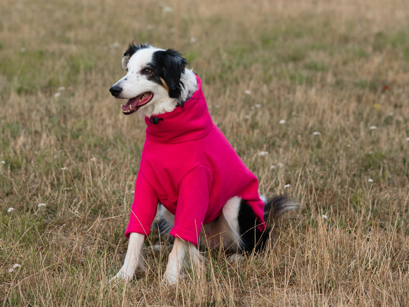Fleece Dog Jumper - Pink