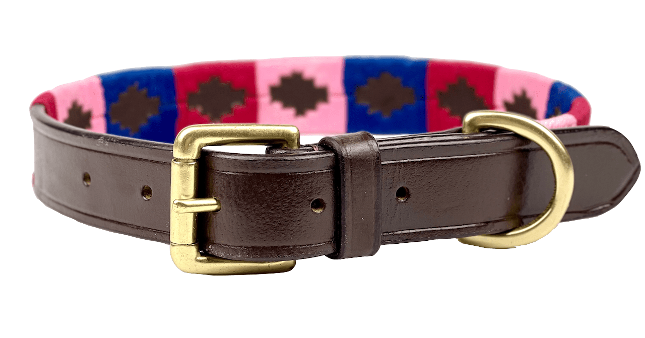 Polo Style Dog Collar