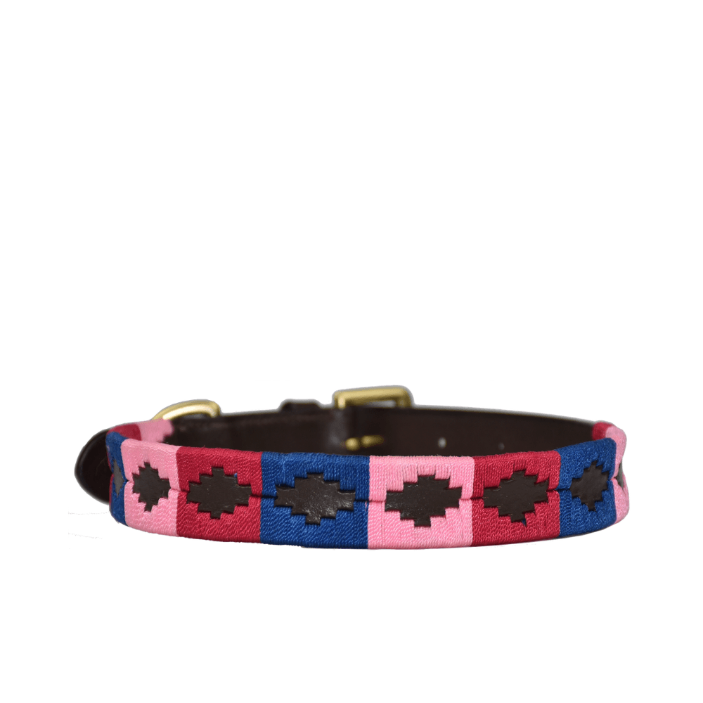 Polo Style Dog Collar