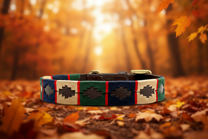 Polo Style Dog Collar