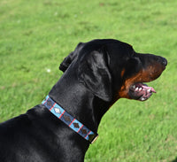 Polo Style Dog Collar