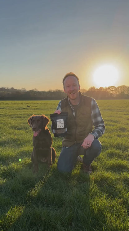ProTrain Fresh Small Bites Dog Training Treats – 80% Meat/Fish High-Value Rewards for Puppy & Gundog Training (UK Made)