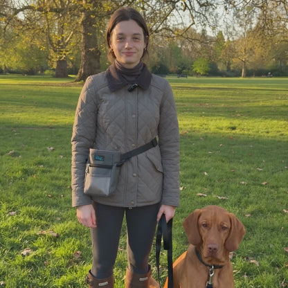 Henry Wag Treat Travel Bag | Training Treat Pouch & Dog Walking Bag
