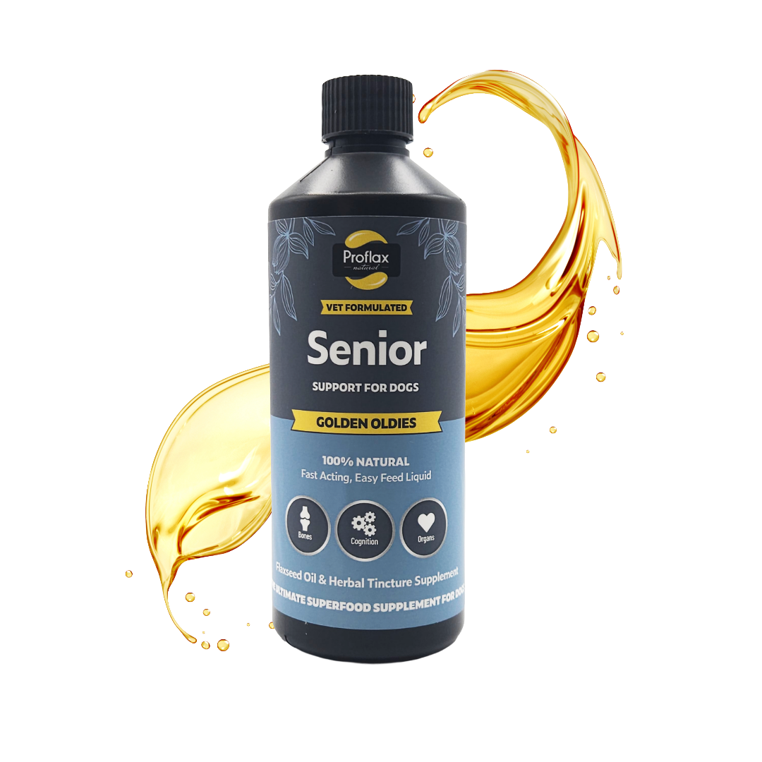 Proflax Golden Oldies senior dog supplement