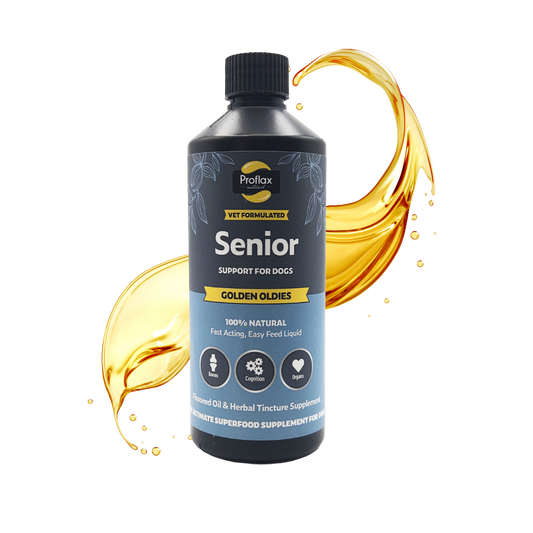 Proflax Golden Oldies senior dog supplement