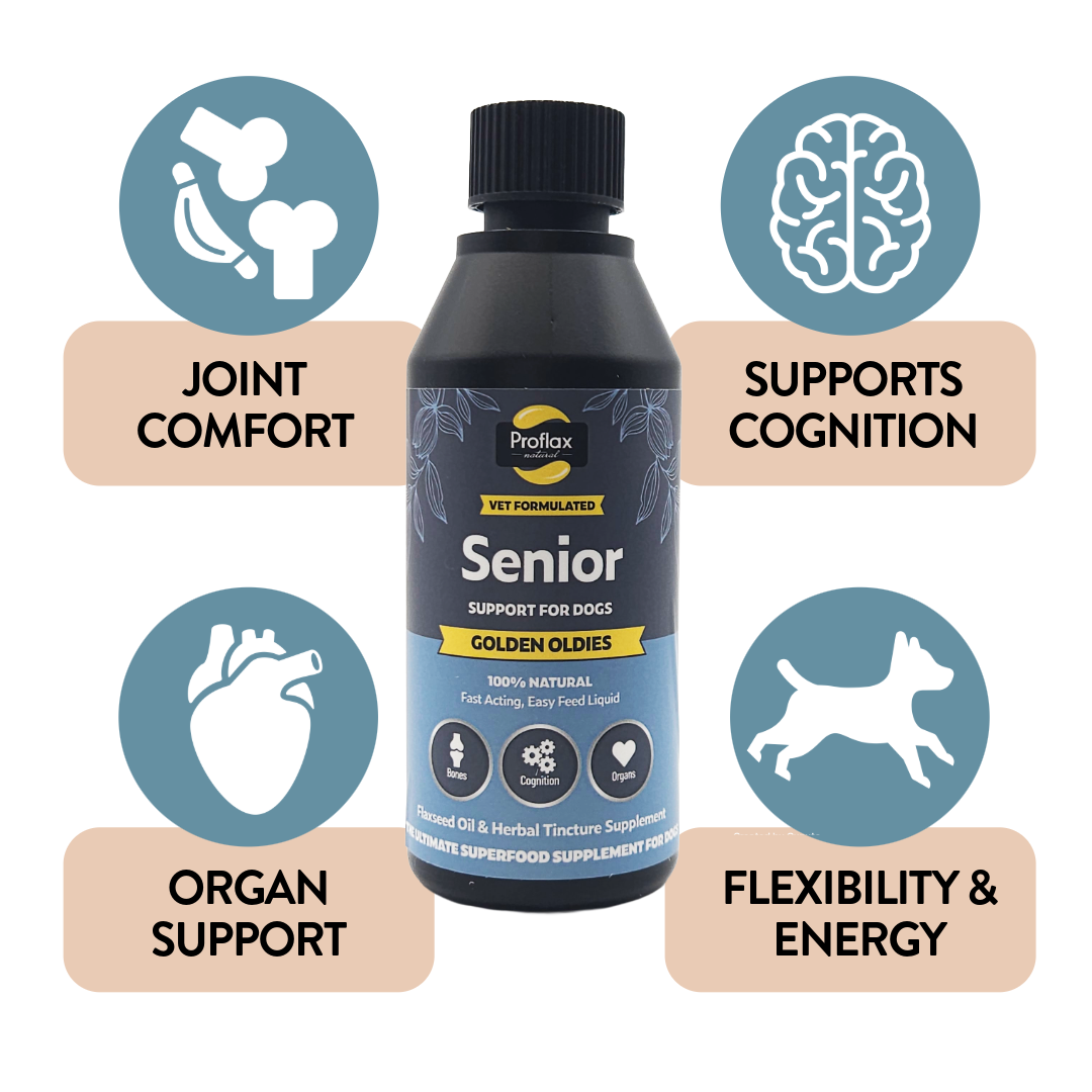 Golden Oldies benefits for senior dogs