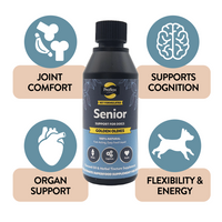Golden Oldies benefits for senior dogs