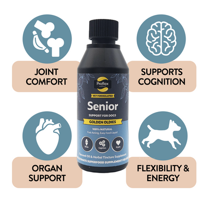 Golden Oldies benefits for senior dogs