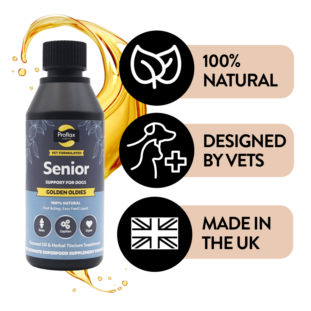 Natural UK-made vet-designed Proflax supplement