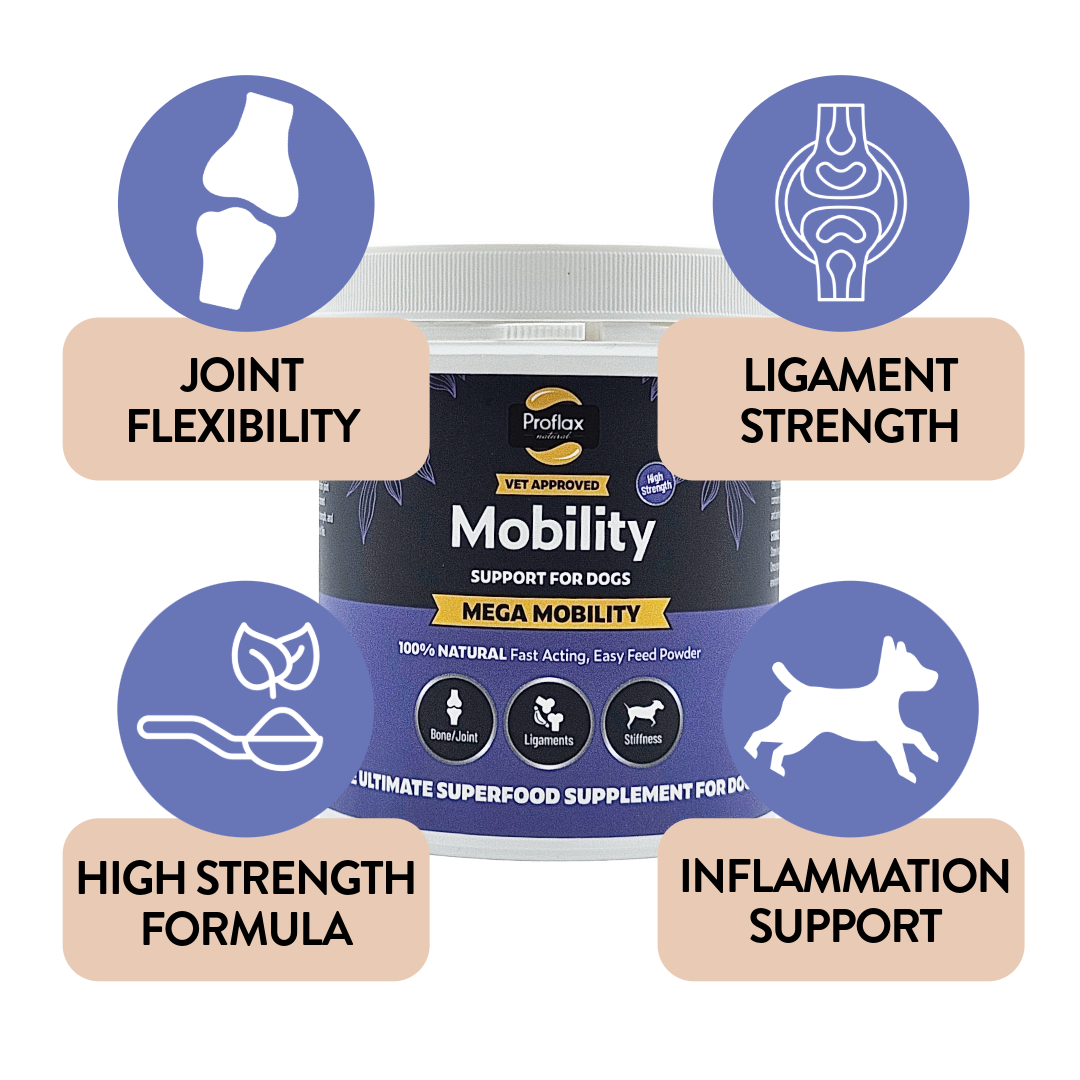 Mega Mobility benefits for dog joint flexibility and strength