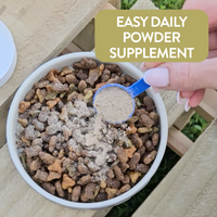 Mega Mobility powder mixed with dog food