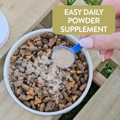 Mega Mobility powder mixed with dog food