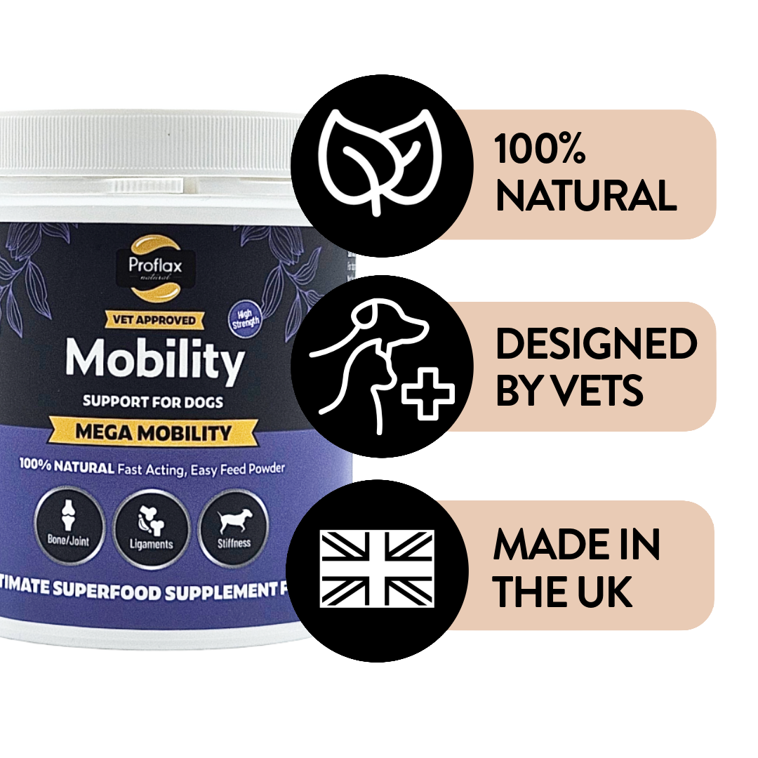 Natural UK-made vet-designed Mega Mobility supplement