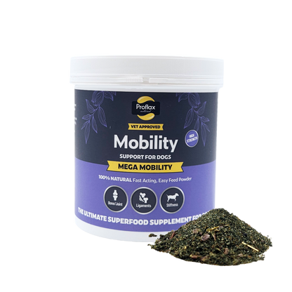 Proflax Mega Mobility tub with joint support powder