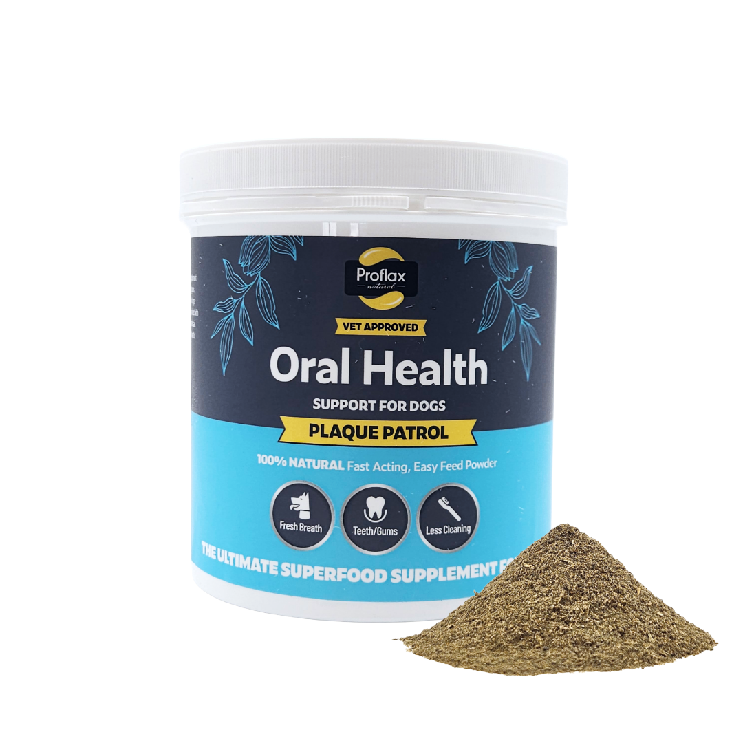 Proflax Plaque Patrol tub with natural powder