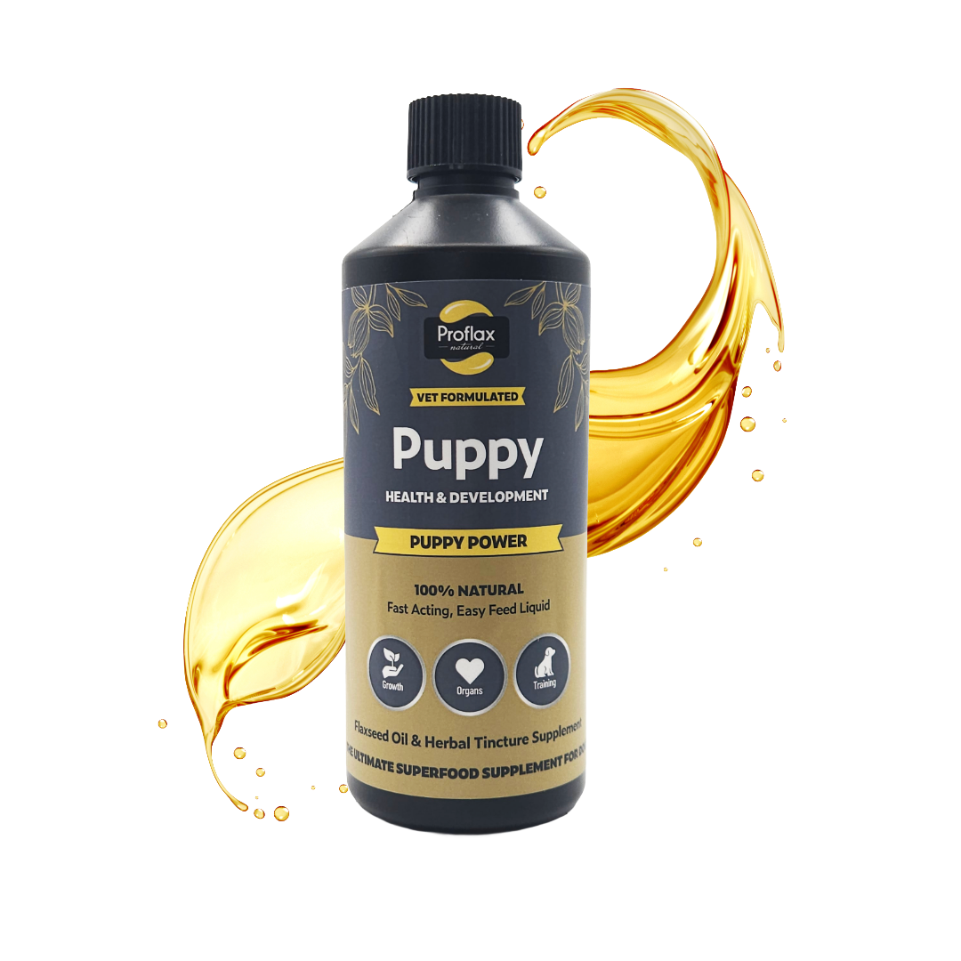 Proflax Puppy Power natural puppy supplement