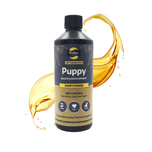 Proflax Puppy Power natural puppy supplement
