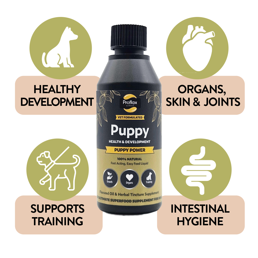Puppy Power benefits for growing puppies