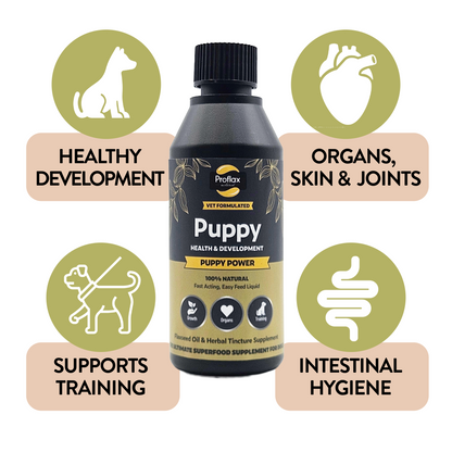 Puppy Power benefits for growing puppies