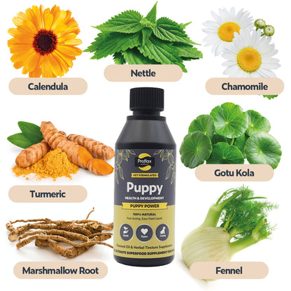 Puppy Power herbal ingredients