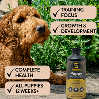 Puppy Power support for growth and training focus