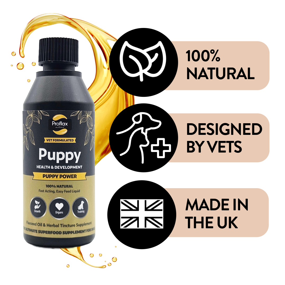 Natural UK-made vet-designed puppy supplement