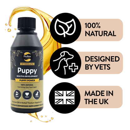 Natural UK-made vet-designed puppy supplement