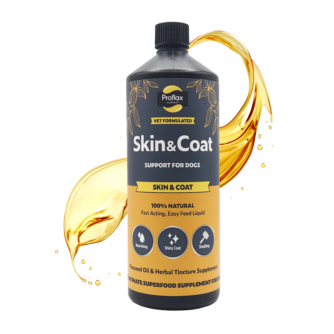 Proflax Skin & Coat 1 litre