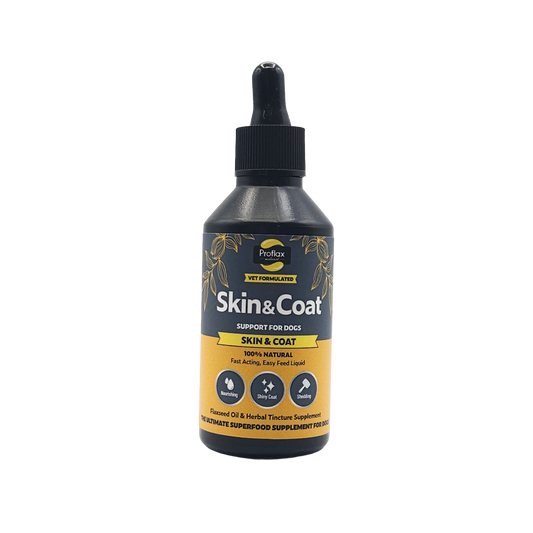 Proflax Skin & Coat natural dog supplement