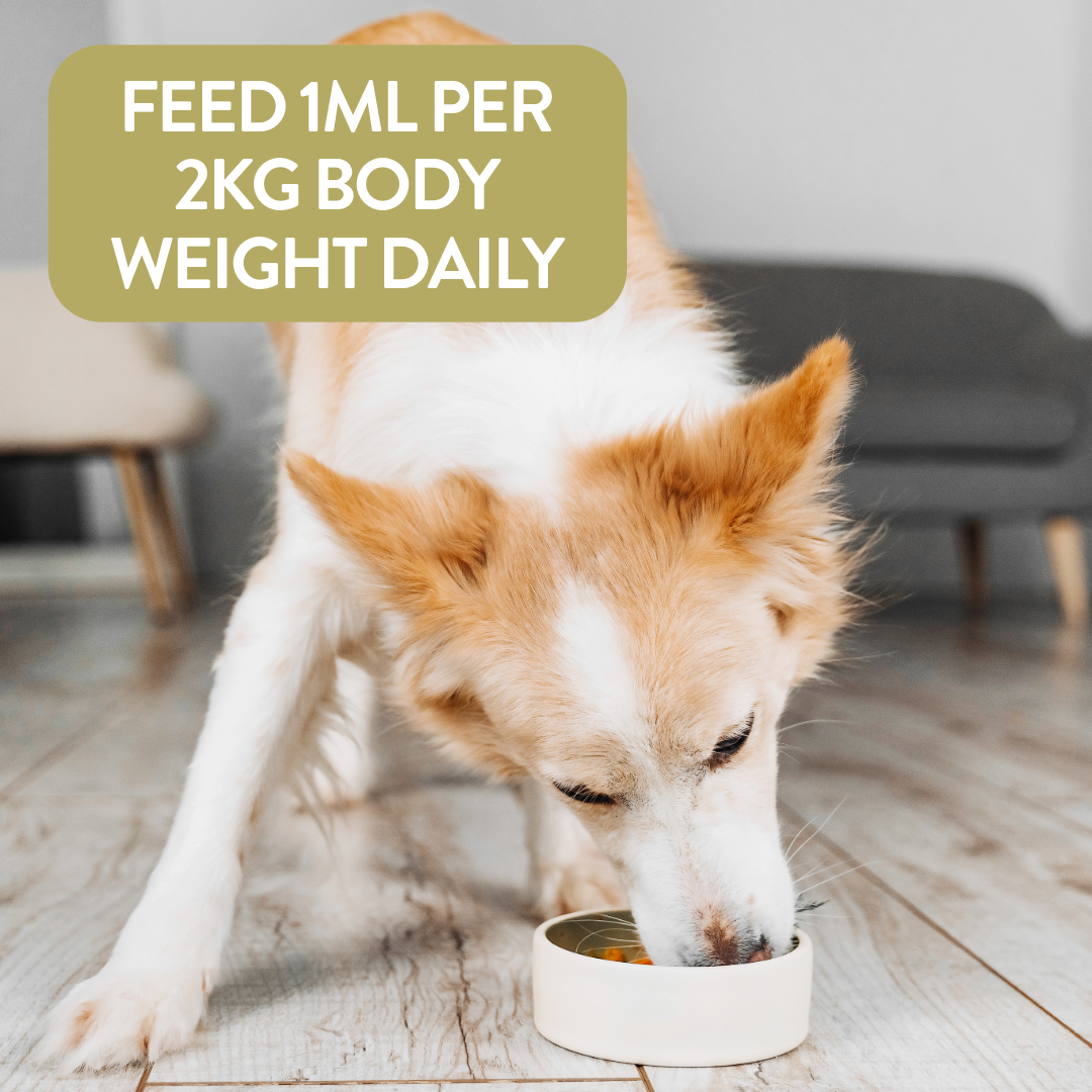 Proflax Skin & Coat daily feeding guide