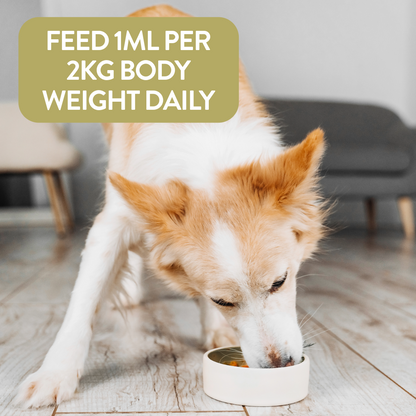 Proflax Skin & Coat daily feeding guide